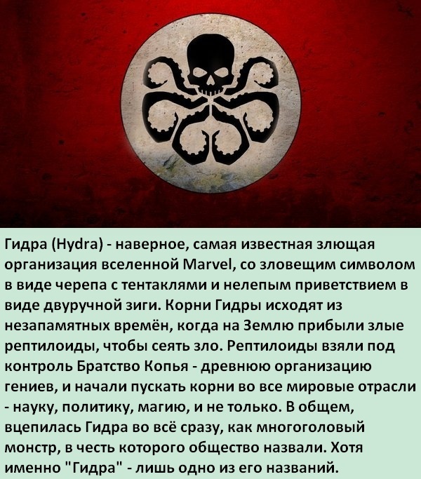Аналог гидры